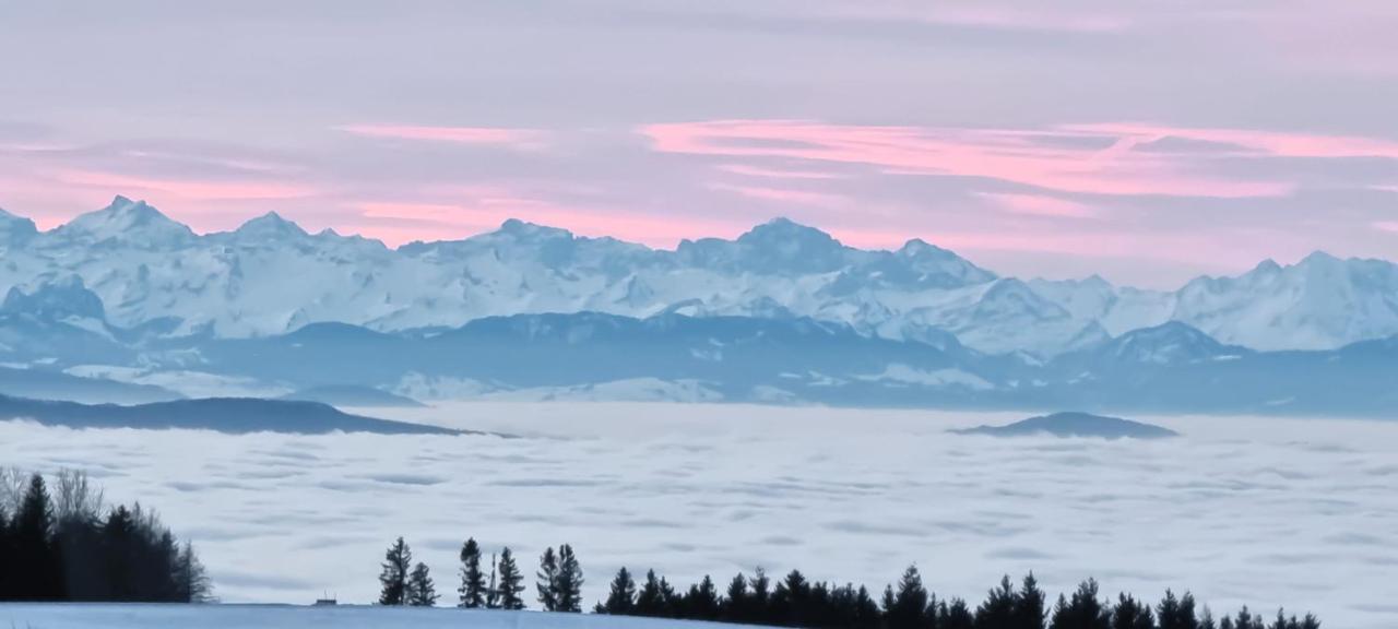 Bio- Und Wellnesshotel Alpenblick Hoechenschwand Luaran gambar