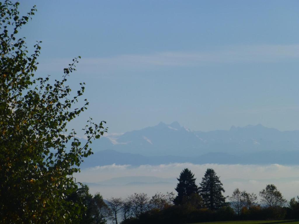Bio- Und Wellnesshotel Alpenblick Hoechenschwand Luaran gambar